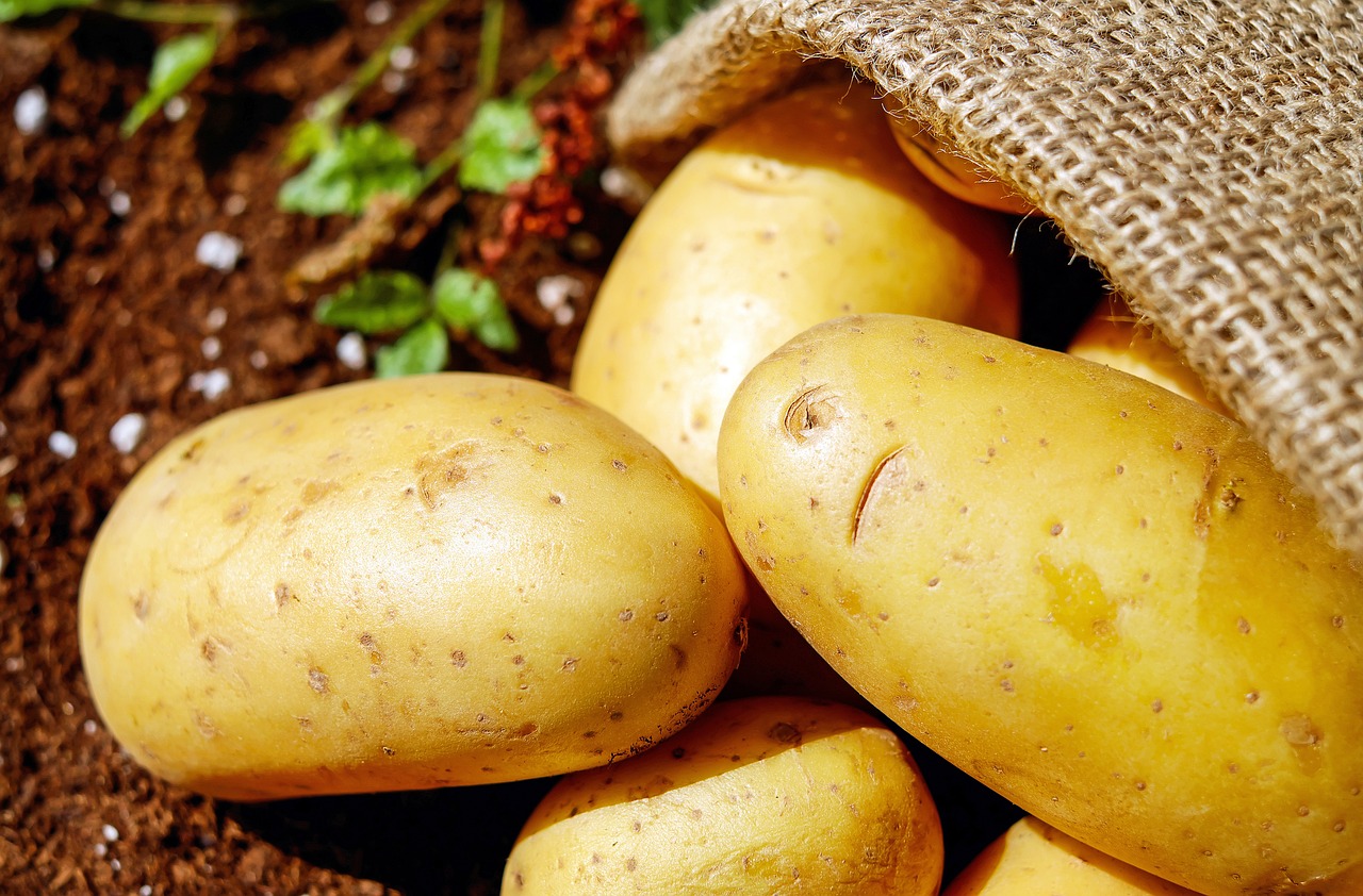 Khoai, khoai tây, rau củ, potato - Couleur (1)