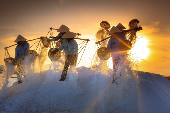 Làng muối, muối, hoàng hôn, biển, Việt Nam - Quangpraha (2)