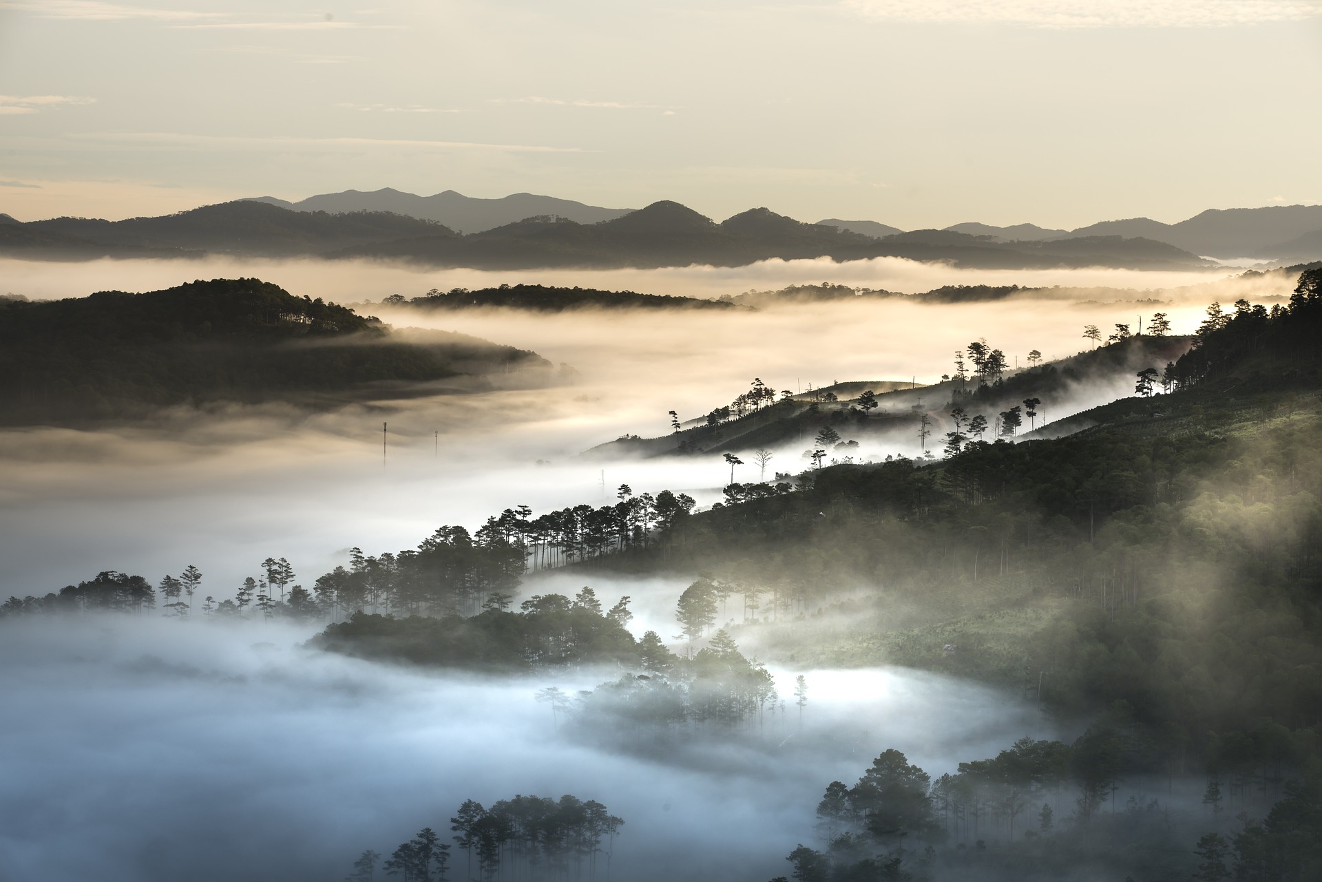 Đà Lạt, Núi, mây, săn mây, nhà kính, Việt Nam - Quangpraha