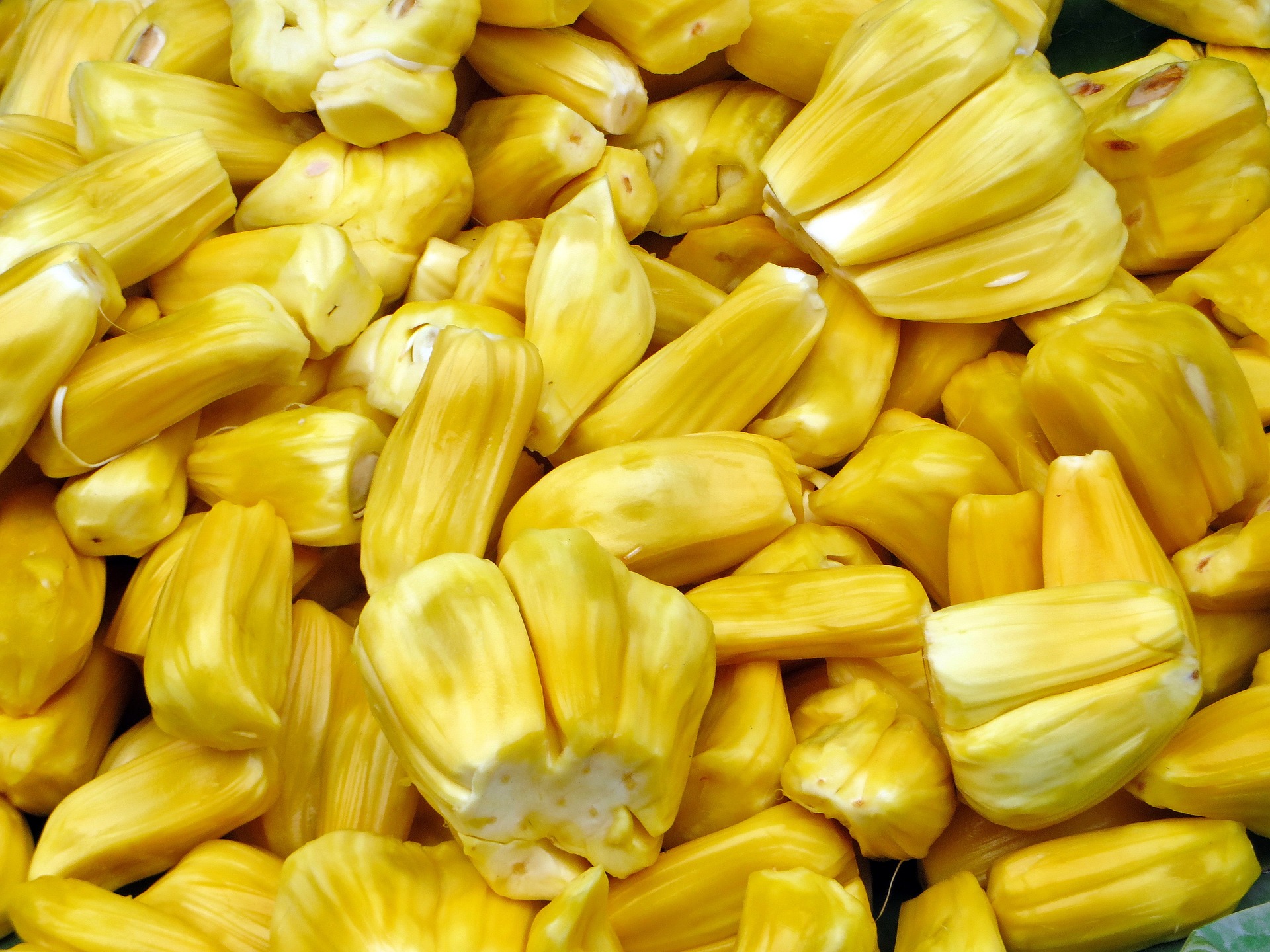 Mít, quả mít, trái cây, Jackfruit - DEZALB