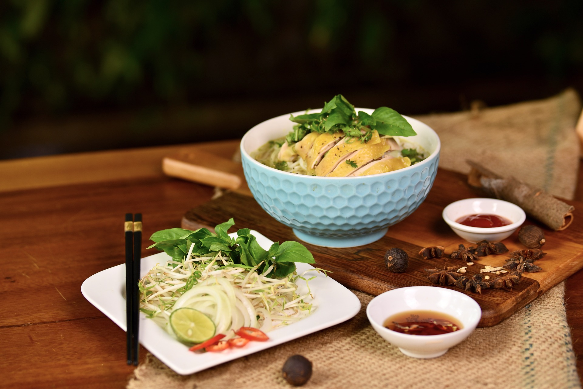 Món ăn Việt Nam, ẩm thực Việt Nam, phở gà, phở, gà - Vu_Pham (3)