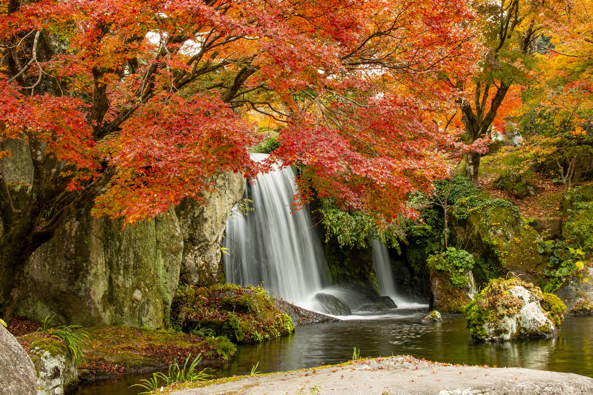 Mùa thu, thác, suối, nền, background, autumn, nền - anhkhac