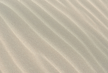 Nền, background, cat, sand, ánh sáng - nikolabelopitov