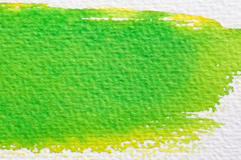 Nền, màu nước, watercolor, xanh lá, green, background - stux