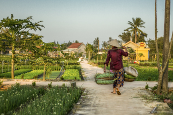 Quê, nông thông, hàng rong, Việt Nam - Babel_hospitality
