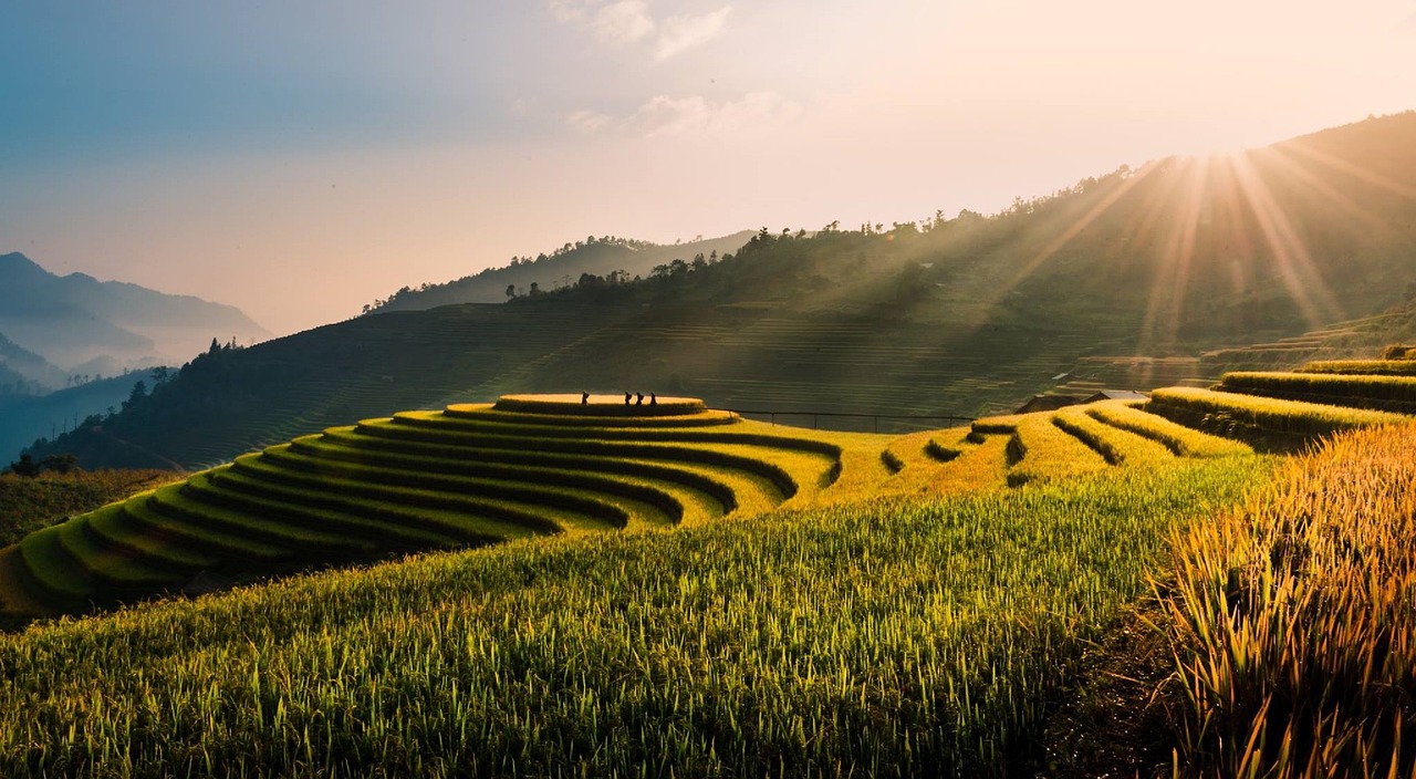 Ruộng bậc thang, ruộng, đồng lúa, cánh đồng, Việt Nam, Viet Nam - motlancuoi2018