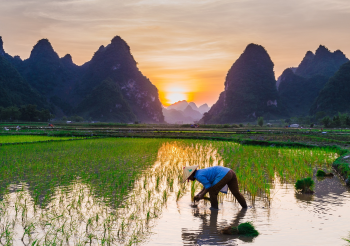 Ruộng, ruộng lúa, cánh đồng, miền núi, vùng cao, moutian, làm nông  - 12322747