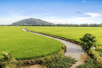 Ruộng, ruộng lúa, cánh đồng, miền núi, vùng cao, moutian -  vietnguyenbui