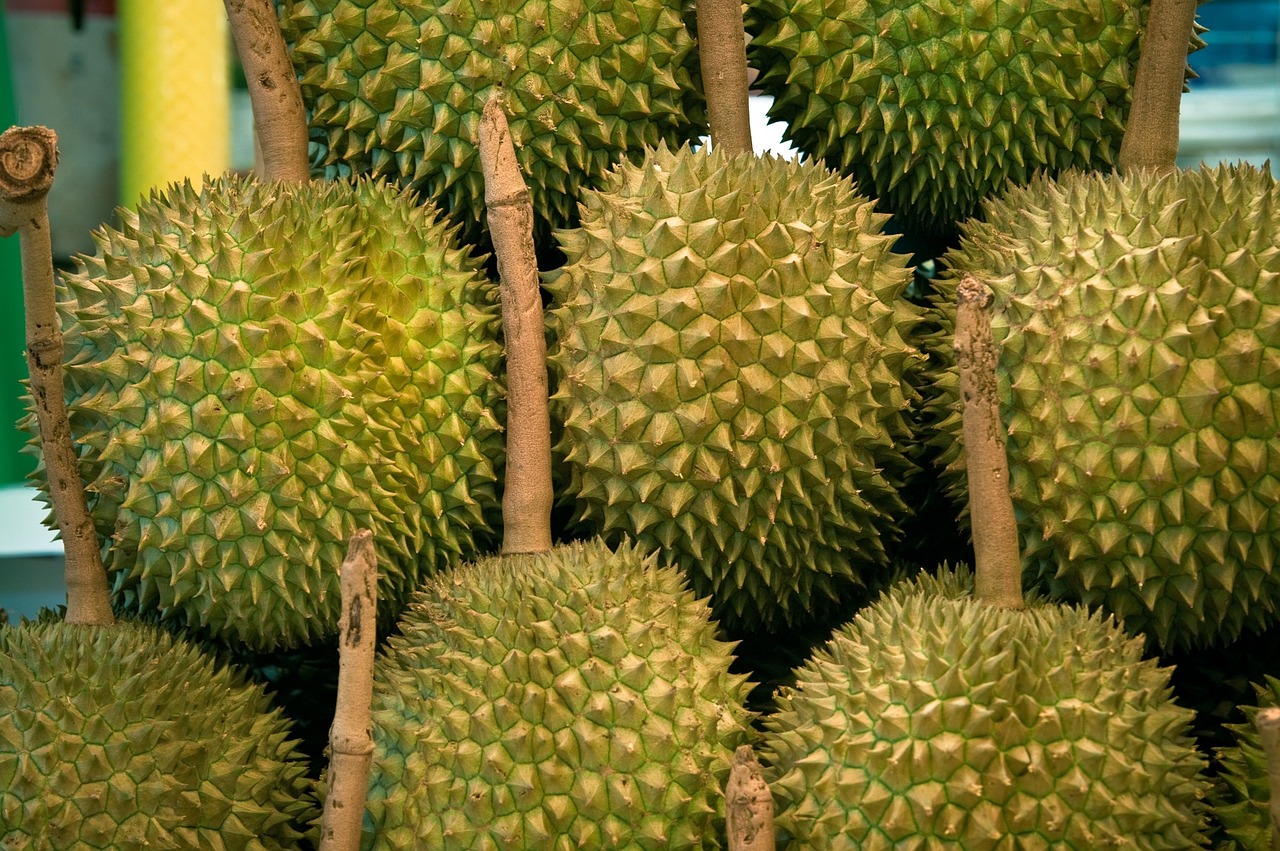 Sầu riêng, trái cây, durian - karolranis