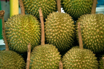 Sầu riêng, trái cây, durian - karolranis