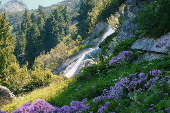 Thác, núi, hoa, moutain, flower, nền, background - shogun