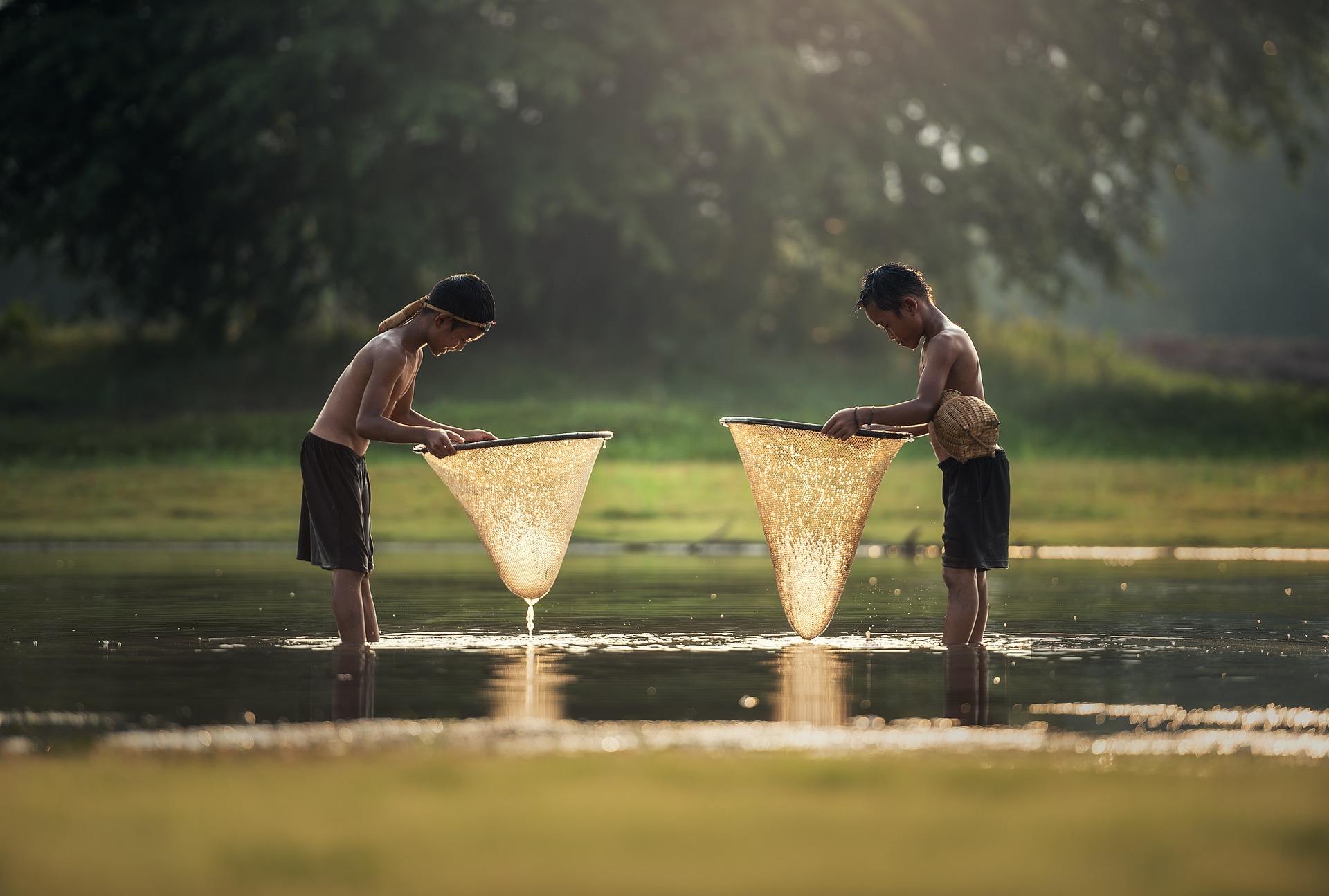 Trẻ em, con nít, nông thôn, ruộng, đồng lúa, cánh đồng, bắt cá, Việt Nam, Viet Nam - sasint