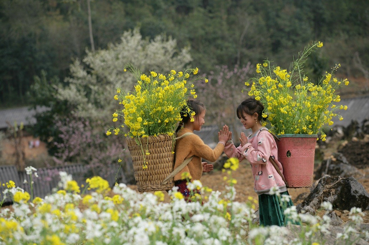 Trẻ em, hoa cải vàng, Hà Giang, Việt Nam, Viet Nam - xuanduongvan87