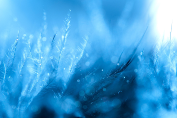 Tuyết, bông tuyết, snow, nền, background - taruku