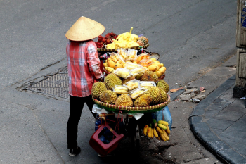 Xe hoa, bán hoa, hoa, chợ hoa, Việt Nam - Tho-Ge