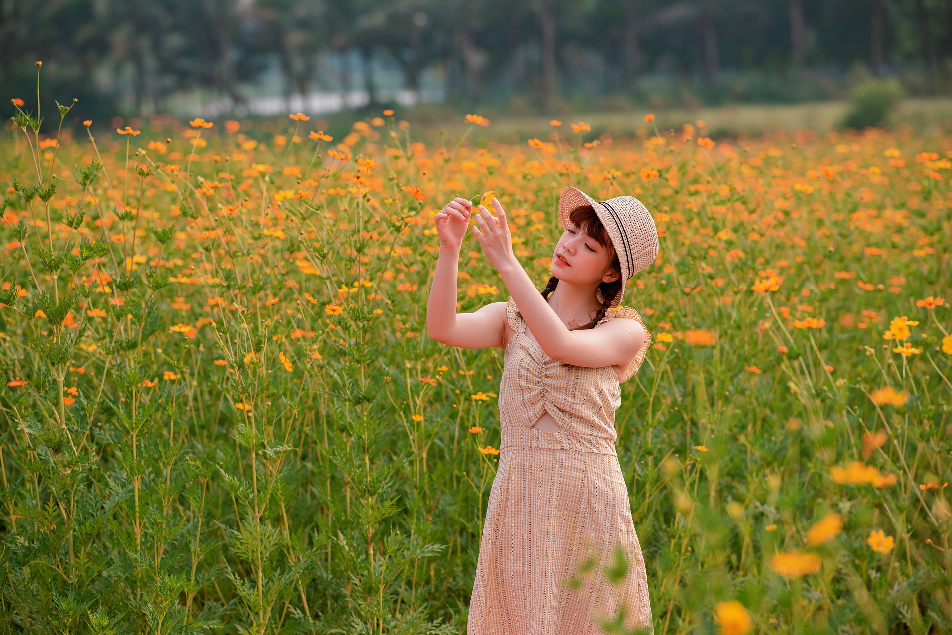 Cô gái, con gái, nữ, girl, sinh viên, người mẫu, Việt Nam