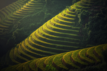 Ruộng bậc thang, cánh đồng, phong cảnh, Việt Nam - sasint