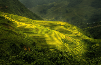 Ruộng bậc thang, cánh đồng, phong cảnh, Việt Nam - trinhxuandao