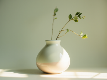 Bình hoa, bình gốm sứ, gốm sứ, hoa, flower 1