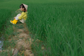 Em bé, trẻ em, con gái, girl, đồng ruộng, nông dân -  Jupilu 12