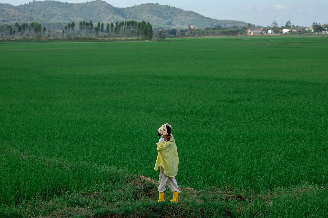 Em bé, trẻ em, con gái, girl, đồng ruộng, nông dân -  Jupilu 7