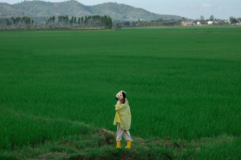 Em bé, trẻ em, con gái, girl, đồng ruộng, nông dân -  Jupilu 7