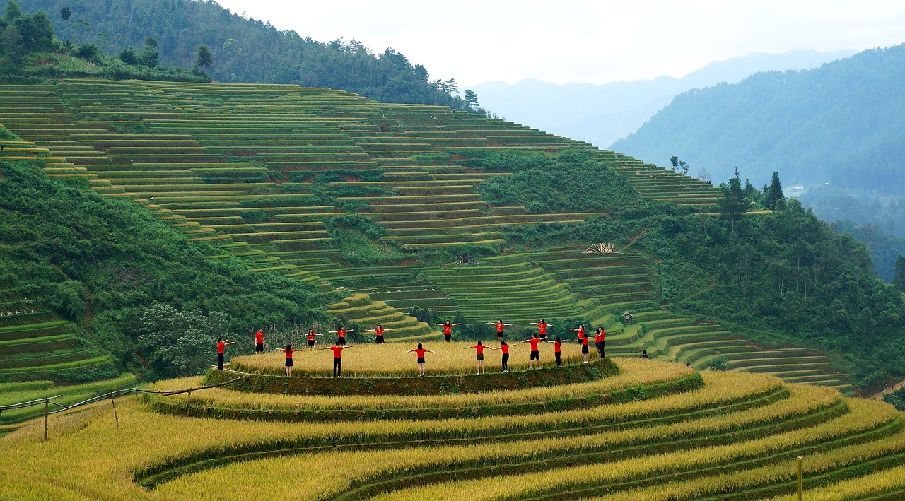 Núi, mountain, ruộng bậc thang, ruộng, Việt Nam, con người