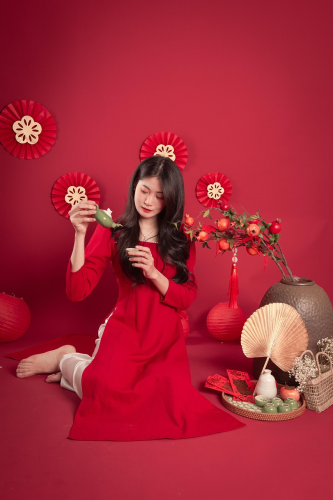 Cô gái, con gái, girl, Việt Nam, dễ thương, cute, áo dài, truyền thống - Minhbuiart (4)