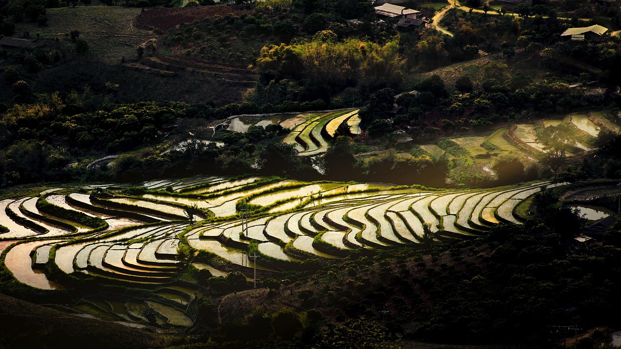 Hình nền, nền, ruộng, ruộng bậc thang, Việt Nam - TranDuyet (2)