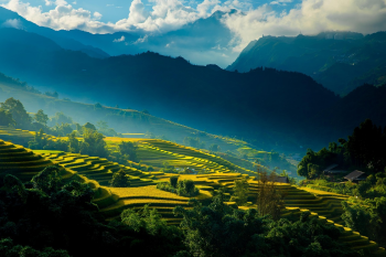 Hình nền, nền, ruộng, ruộng bậc thang, Việt Nam - TranDuyet (3)