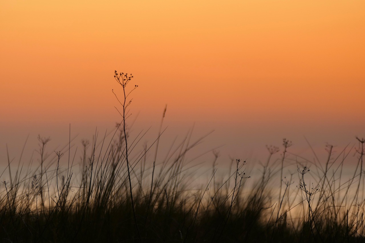 Hoàng hôn, sunset, chiều, mặt trời, hình nền, nền -Kranich17 (10)