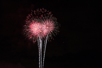 Pháo hoa, pháo bông, firework, nền, hình nền, background- katyalazy0