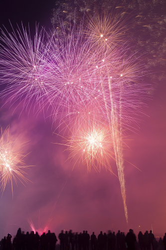 Pháo hoa, pháo bông, firework, nền, hình nền, background- Pexels