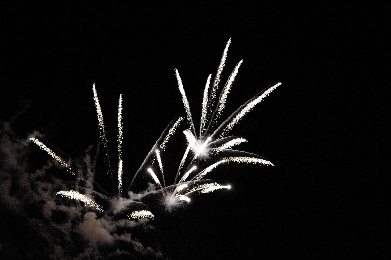 Pháo hoa, pháo bông, firework, nền, hình nền, background- real-napster