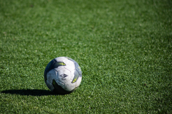 Thể thao, sport, sân cỏ, cỏ, grass, bóng, quả bóng - rojesh55 (3)