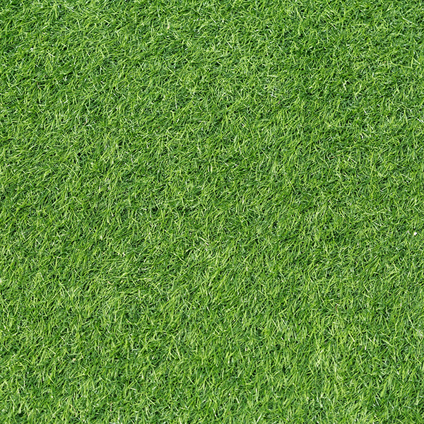 Cỏ, bãi cỏ, grass, hình nền, background, thiên nhiên