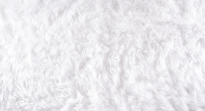 Lông, thảm, carpet, hình nền, background