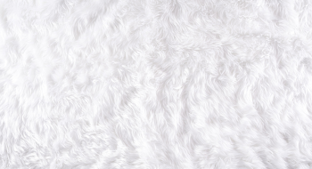 Lông, thảm, carpet, hình nền, background