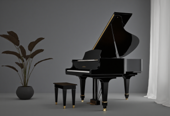 Piano, đàn piano, nhạc cụ, instrument, music, âm nhạc, giải trí 19