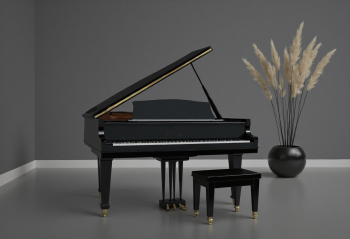 Piano, đàn piano, nhạc cụ, instrument, music, âm nhạc, giải trí 18