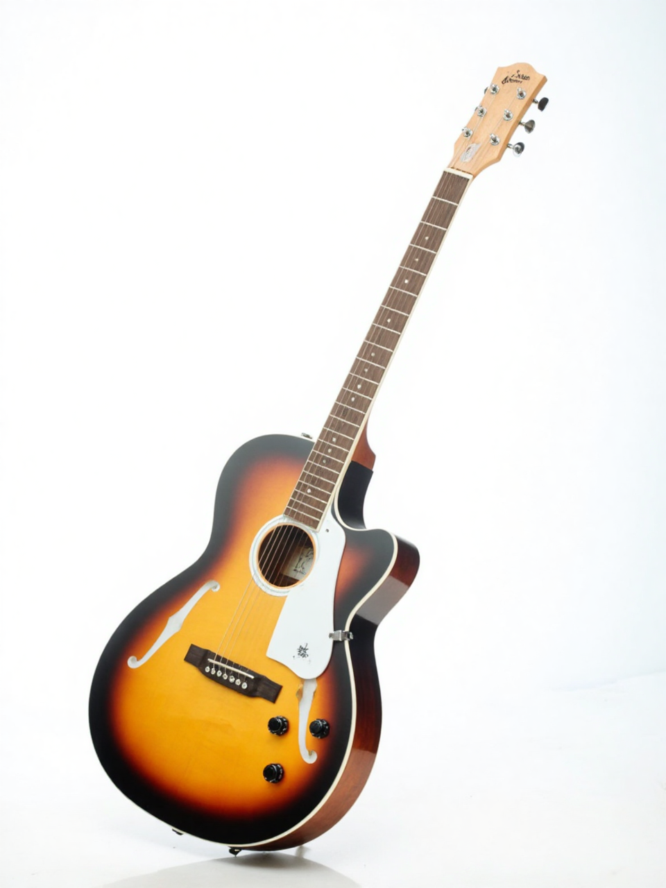 Guitar, đàn guitar, guitar điện, đàn, music, âm nhạc, giải trí 4