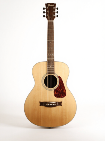 Guitar, đàn guitar, đàn, music, âm nhạc, giải trí 3