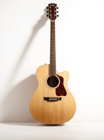 Guitar, đàn guitar, đàn, music, âm nhạc, giải trí 10