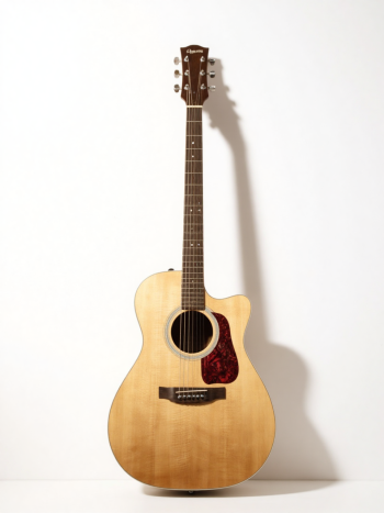 Guitar, đàn guitar, đàn, music, âm nhạc, giải trí 8