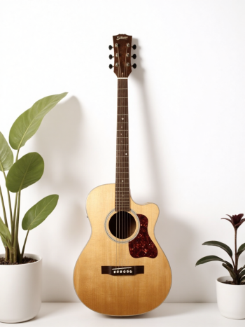 Guitar, đàn guitar, đàn, music, âm nhạc, giải trí 15