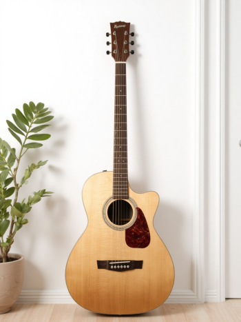 Guitar, đàn guitar, đàn, music, âm nhạc, giải trí 12