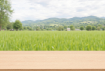 Bàn, table, desk, cửa sổ, window, hình nền, nền, background 41