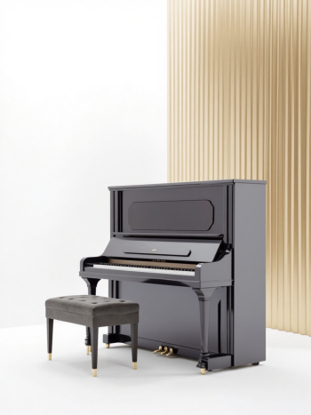 Piano, đàn piano, nhạc cụ, instrument, music, âm nhạc, giải trí 4