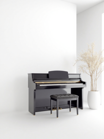 Piano, đàn piano, nhạc cụ, instrument, music, âm nhạc, giải trí 5