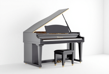 Piano, đàn piano, nhạc cụ, instrument, music, âm nhạc, giải trí 7